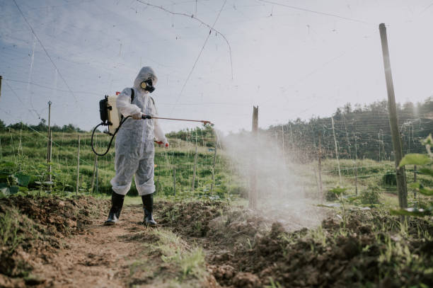 Best Mosquito Control Services  in Jefferson Valley Yorktown, NY