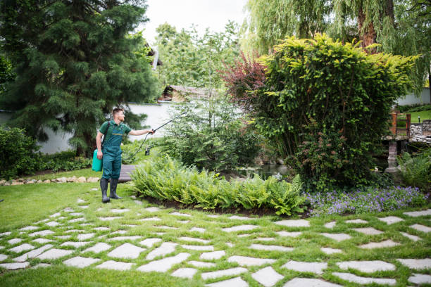 Best Pest Removal Services  in Jefferson Valley Yorktown, NY
