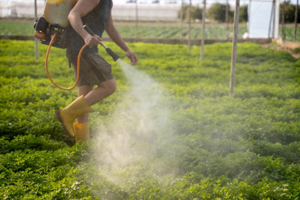 Best Local Pest Control Services  in Jefferson Valley Yorktown, NY