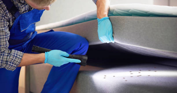 Pest Prevention Services in Jefferson Valley Yorktown, NY