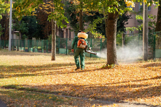 Best Pest Control Near Me in Jefferson Valley Yorktown, NY