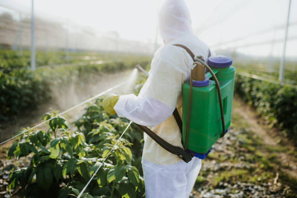Trusted Jefferson Valley Yorktown, NY Pest Control Experts